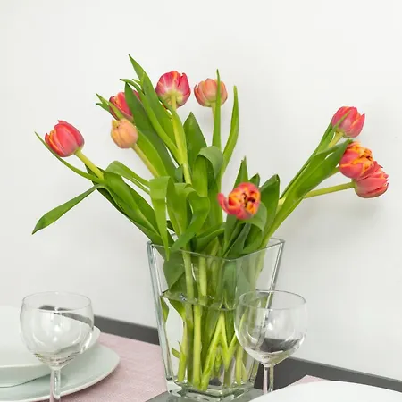 Perlowa Przystan By Renters * 科沃布热格