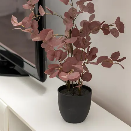 Appartamento Perlowa Przystan By Renters Kołobrzeg